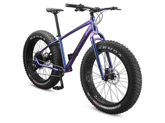 Argus Comp 26-Inch Fat-Tire Trail Bike