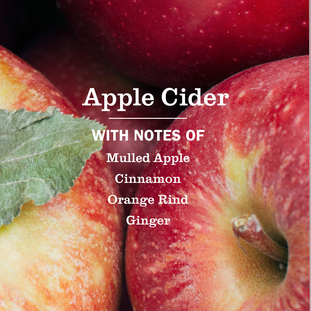 Mrs. Meyer's Apple Cider Essential Kitchen Cleaning Set
