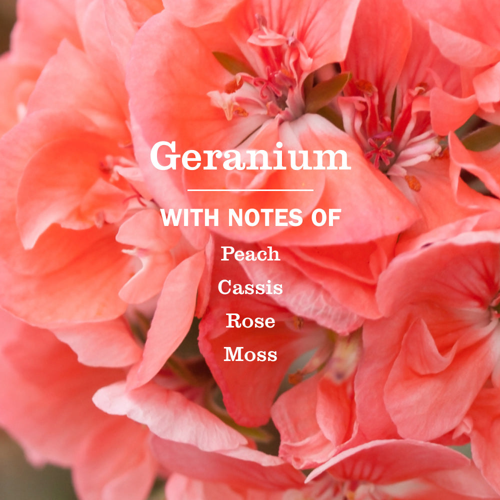 Mrs. Meyer's Geranium Liquid Dish Soap