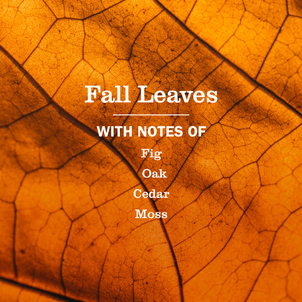 Mrs. Meyer's Fall Leaves 3-Count Everyday Multi-Surface Cleaner Bundle