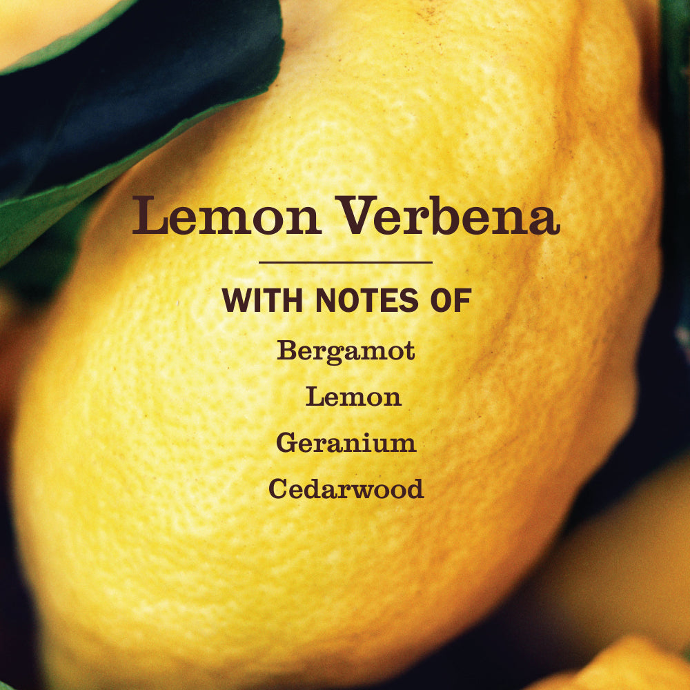 Mrs. Meyer's Lemon Verbena Garden-Inspired Room Freshener