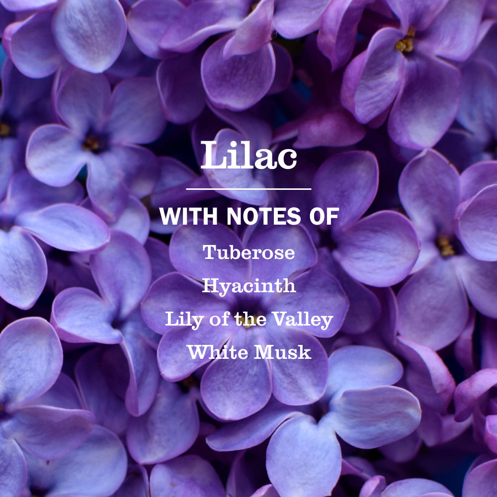Mrs. Meyer's Lilac 3-Count Liquid Dish Soap Bundle