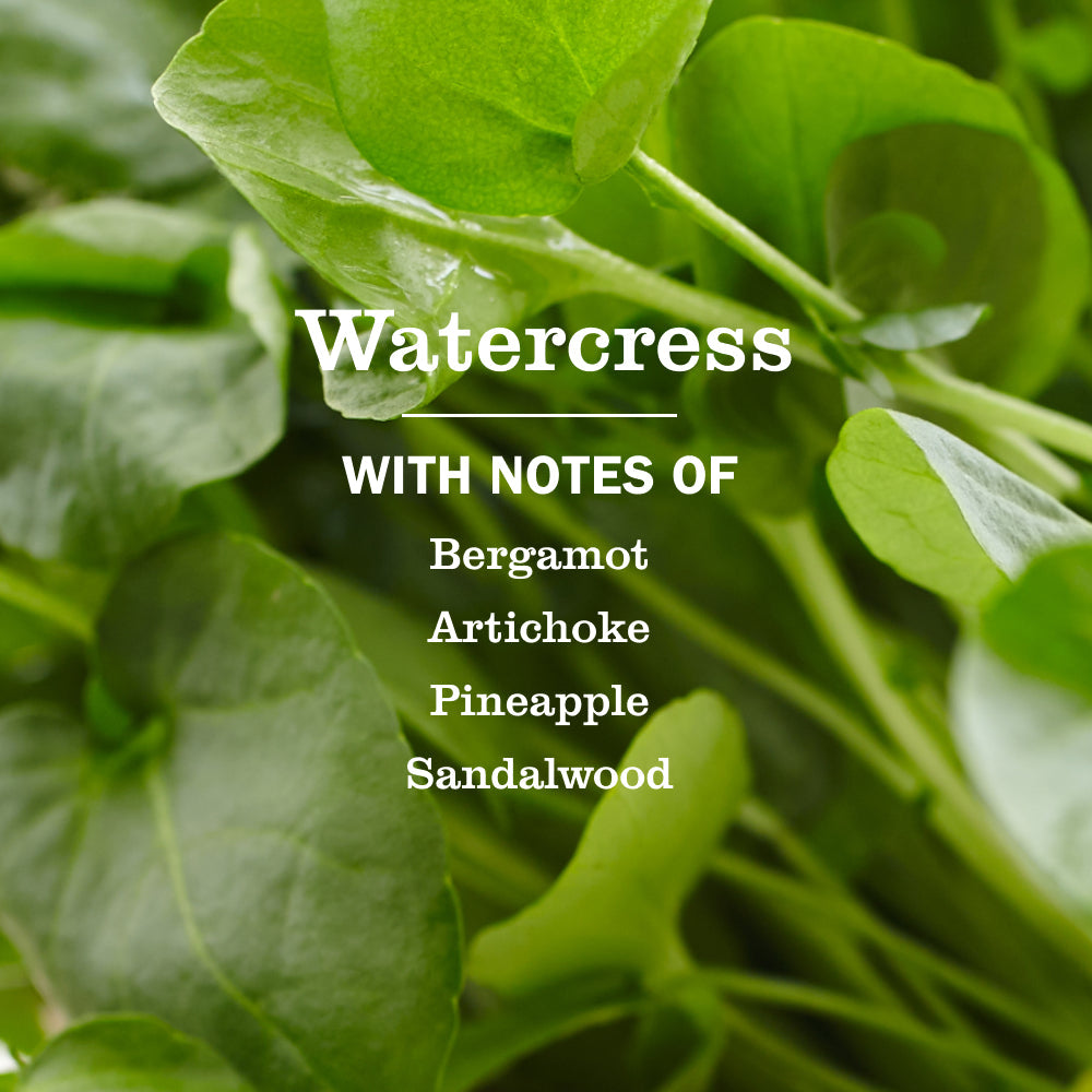 Mrs. Meyer's Watercress Garden-Scented Liquid Hand Soap