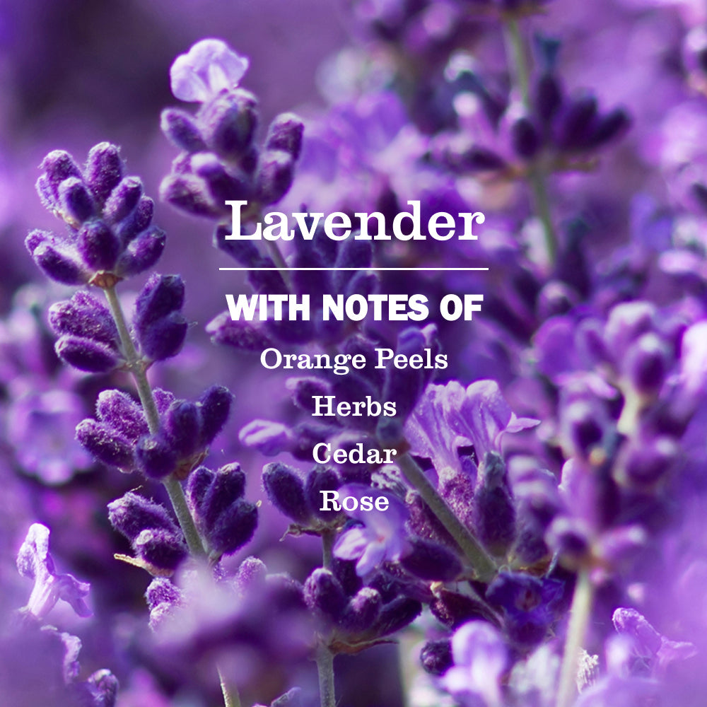 Mrs. Meyer's Lavender Essential Kitchen Cleaning Set