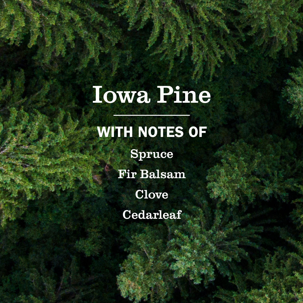 Mrs. Meyer's Iowa Pine 3-Count Liquid Hand Soap Bundle