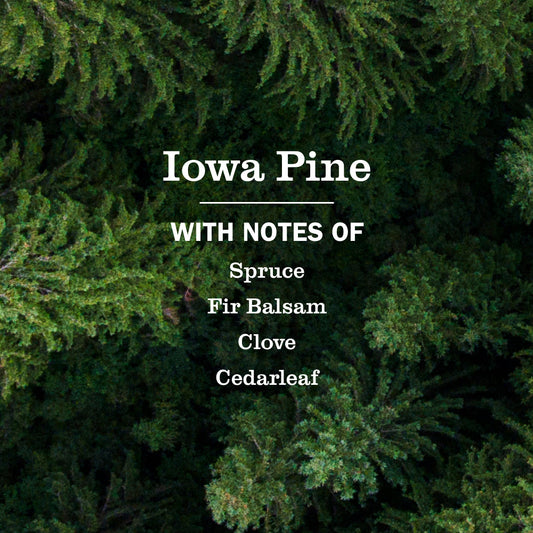 Mrs. Meyer's Iowa Pine Liquid Hand Soap and Refill Set