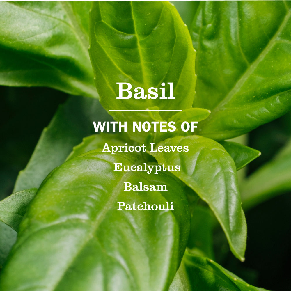 Mrs. Meyer's Basil Garden-Scented Liquid Hand Soap