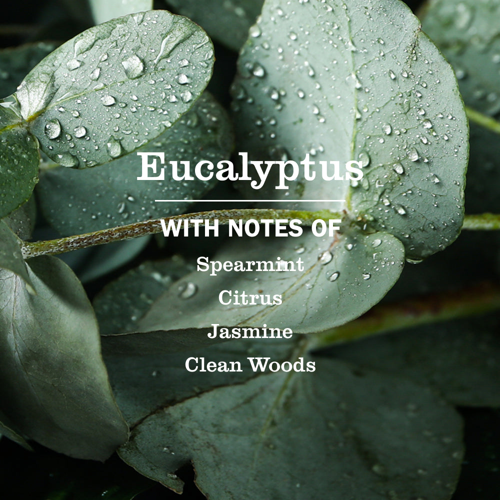 Mrs. Meyer's Eucalyptus Garden-Scented Liquid Hand Soap