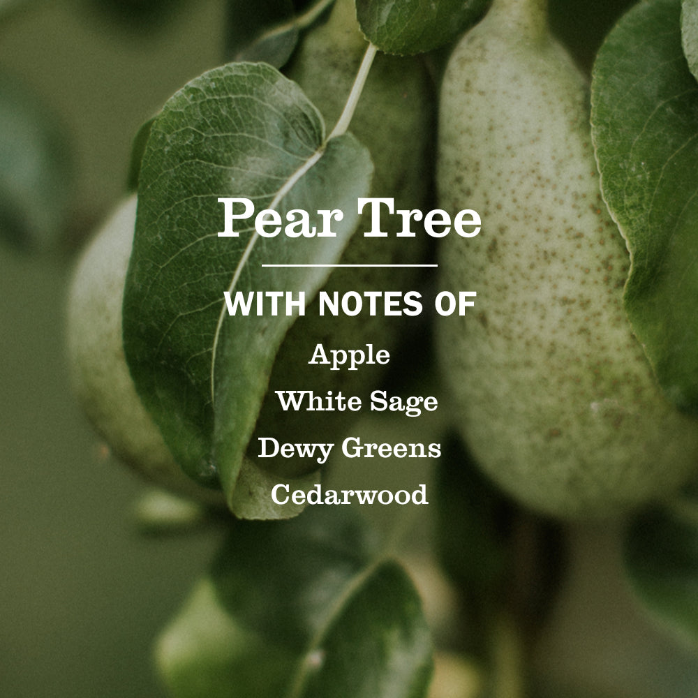 Mrs. Meyer's Pear Tree Liquid Dish Soap