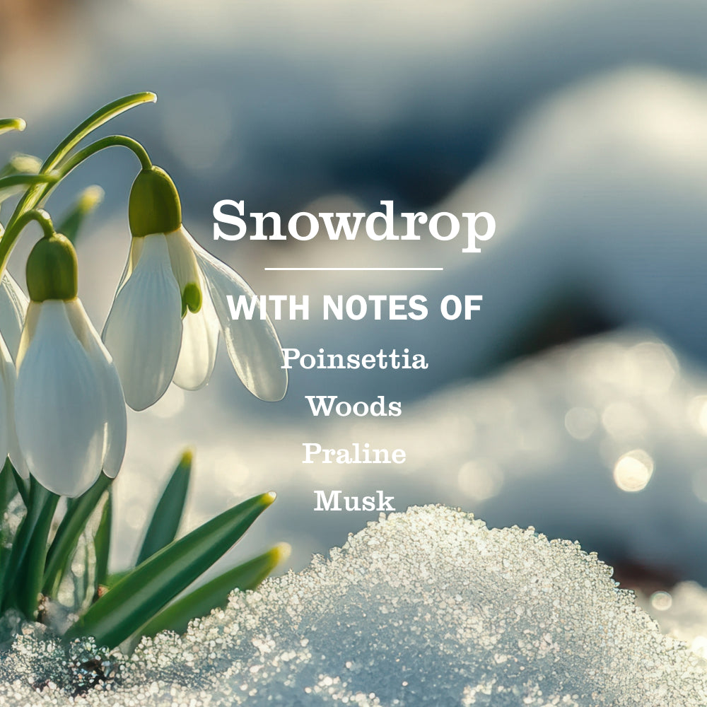 Mrs. Meyer's Snowdrop 3-Count Liquid Hand Soap Bundle