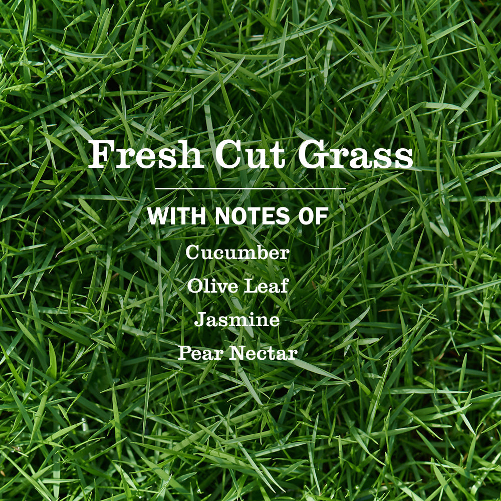 Mrs. Meyer's Fresh Cut Grass Everyday Liquid Dish Soap