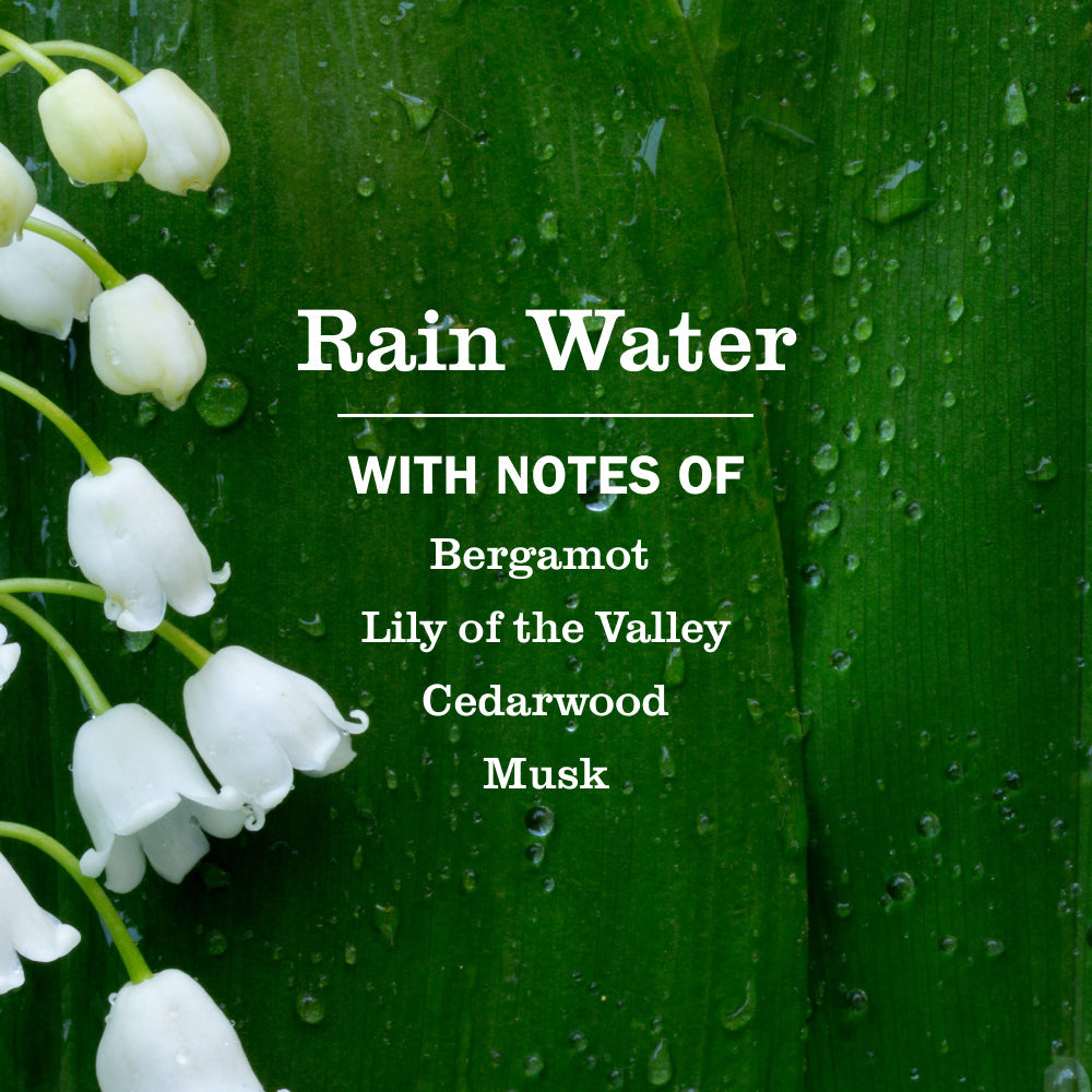 Mrs. Meyer's Rain Water Garden-Scented Liquid Hand Soap